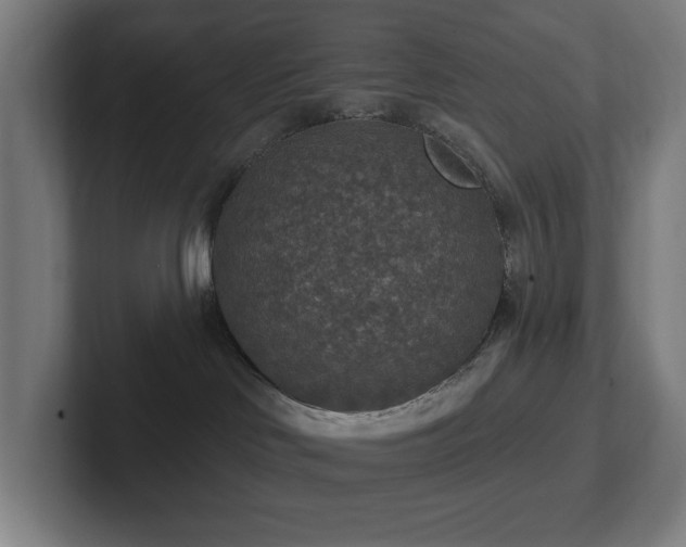 X0000102770046200808181138