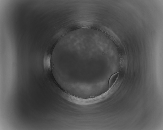 X0000102770047200808181138