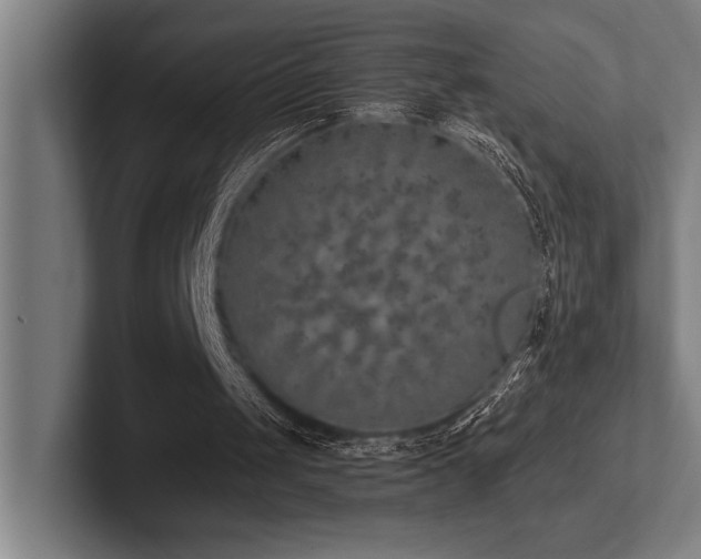 X0000102770049200808181137