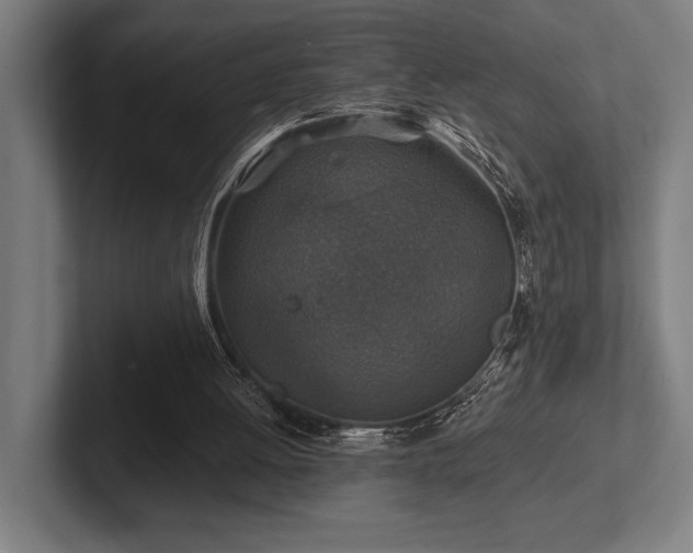 X0000102770052200808181137