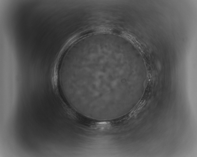 X0000102770053200808181137