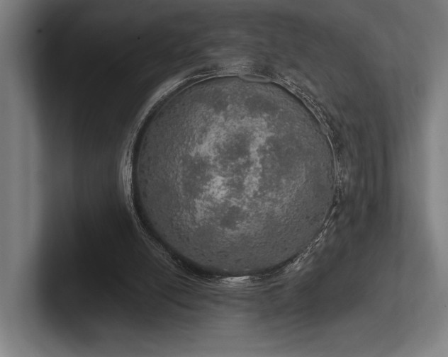 X0000102770054200808181137