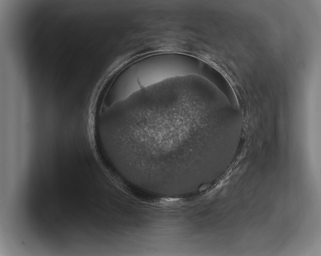 X0000102770055200808181137