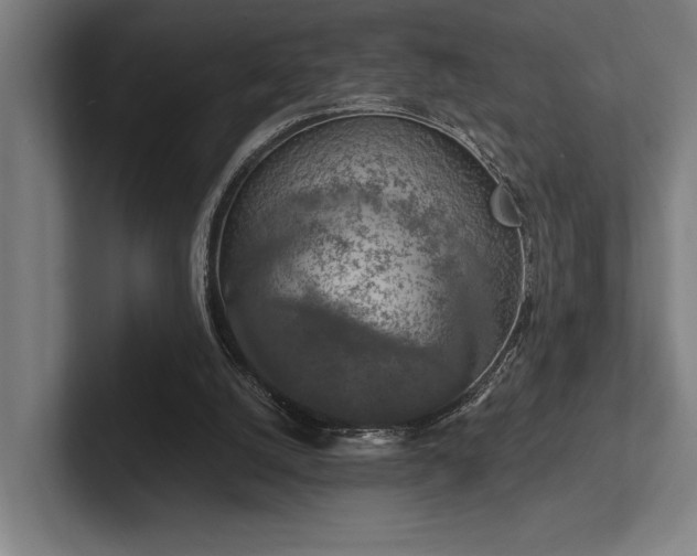 X0000102770056200808181137