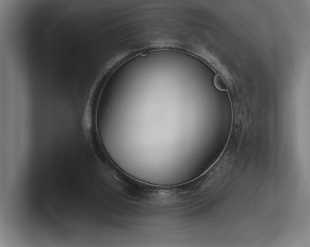 X0000102770060200808181138