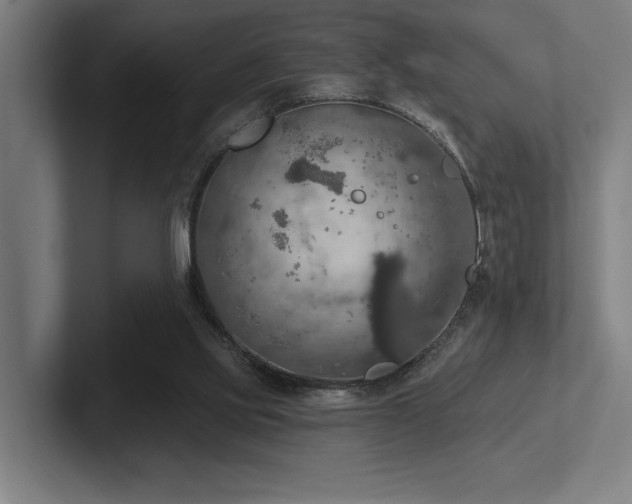 X0000102770061200808181138