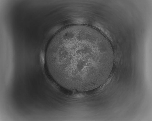 X0000102770062200808181138