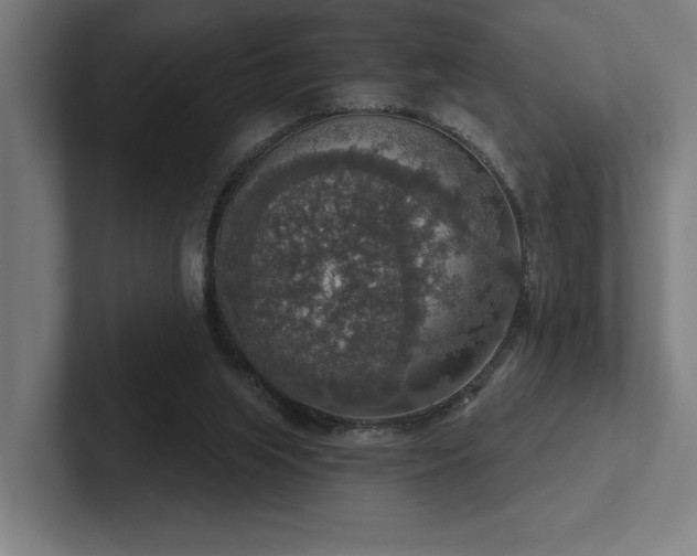 X0000102770063200808181138