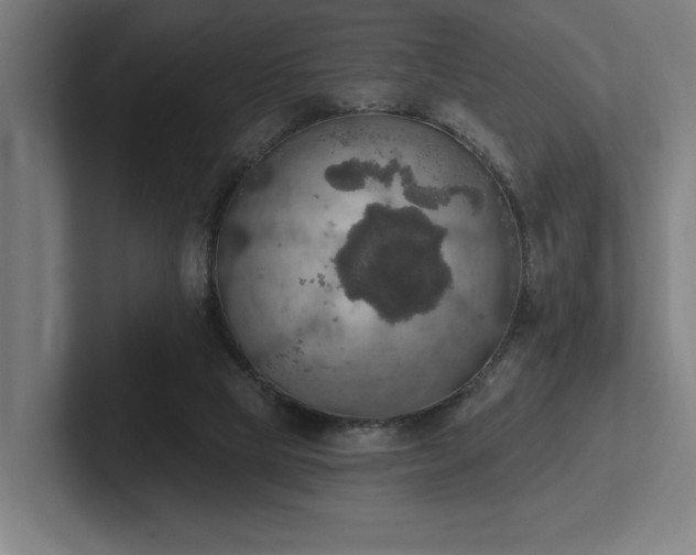 X0000102770065200808181138