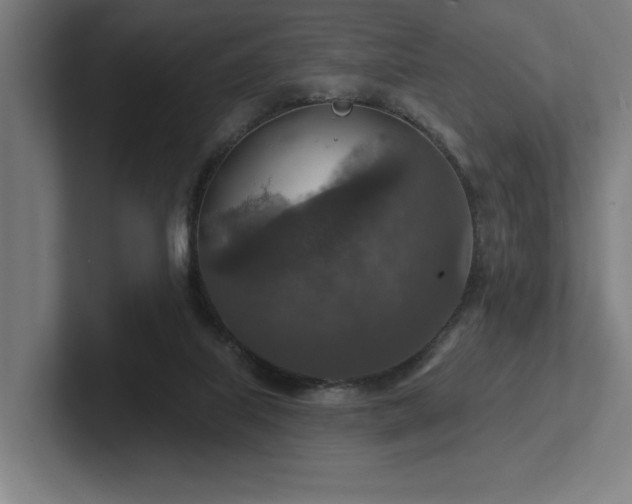 X0000102770067200808181138