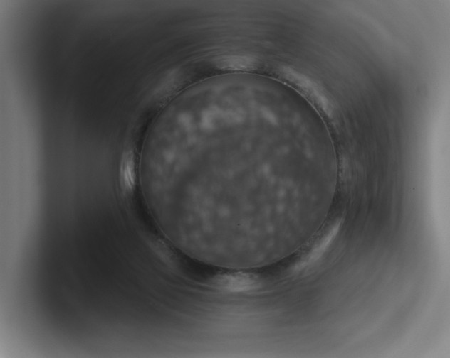 X0000102770069200808181138