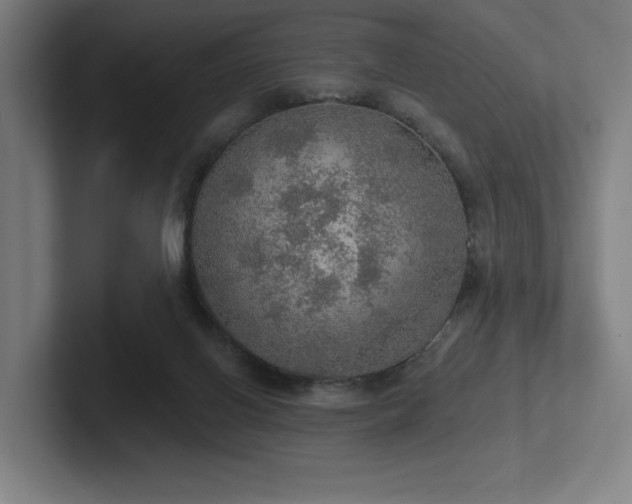 X0000102770070200808181138