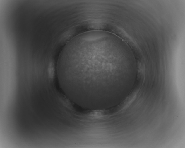 X0000102770080200808181138