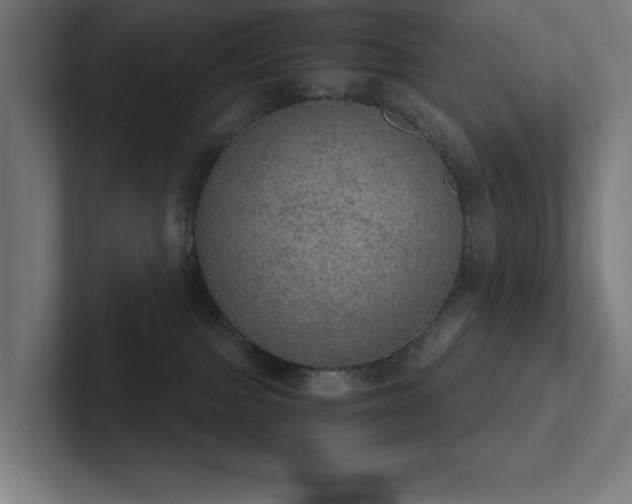 X0000102770091200808181138