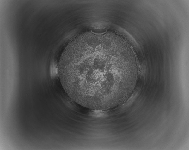 X0000102770095200808181138