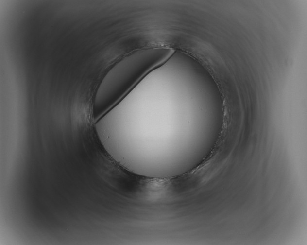 X0000102770096200808181138