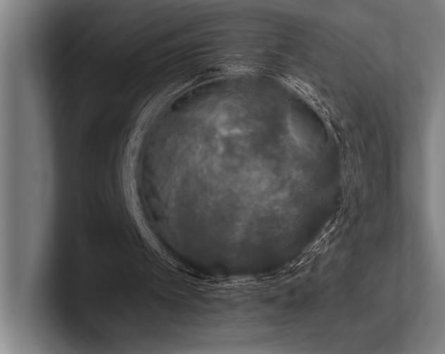 X0000102770097200808181137