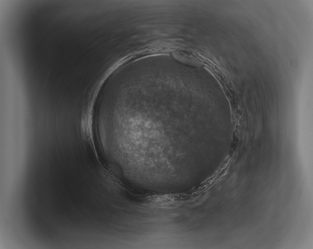 X0000102770100200808181137