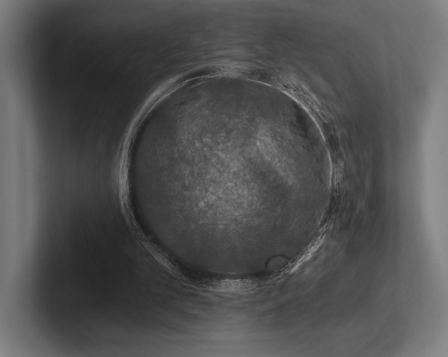 X0000102770101200808181137