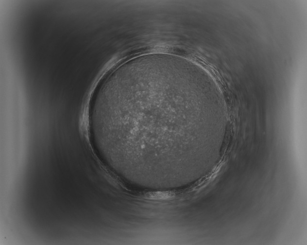 X0000102770102200808181137