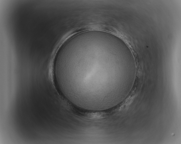 X0000102770103200808181137