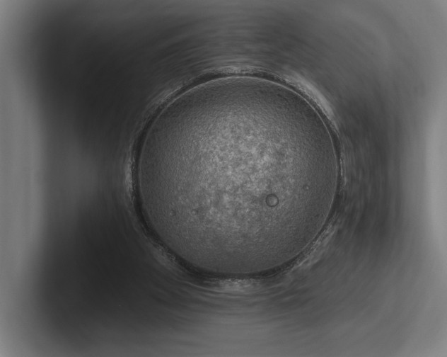 X0000102770105200808181137