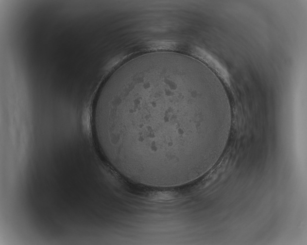 X0000102770107200808181137