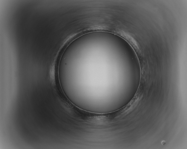 X0000102770108200808181137