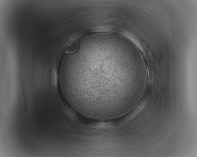 X0000102770109200808181137