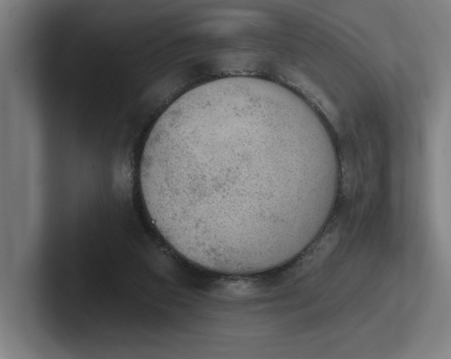 X0000102770113200808181137