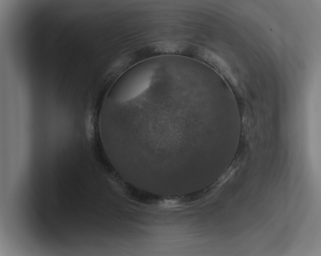 X0000102770114200808181137