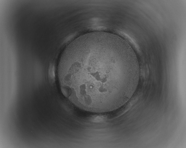 X0000102770115200808181137