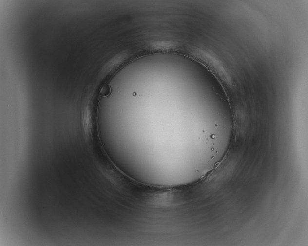 X0000102770116200808181137