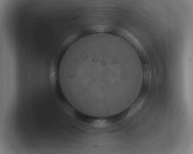 X0000102770119200808181137