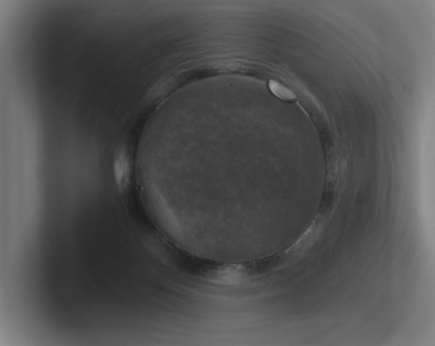 X0000102770124200808181137