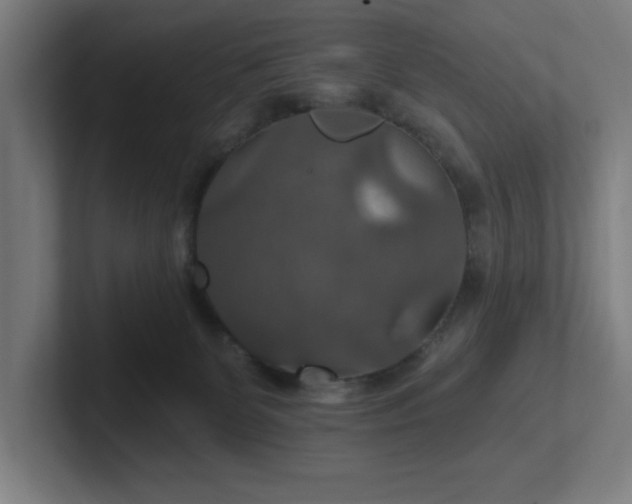 X0000102770131200808181137