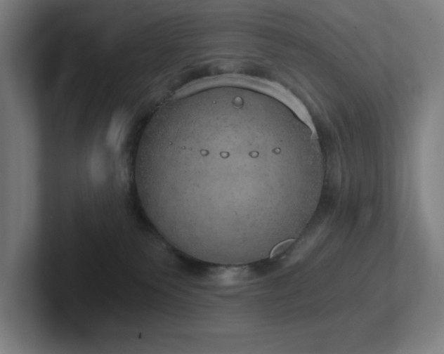 X0000102770135200808181137