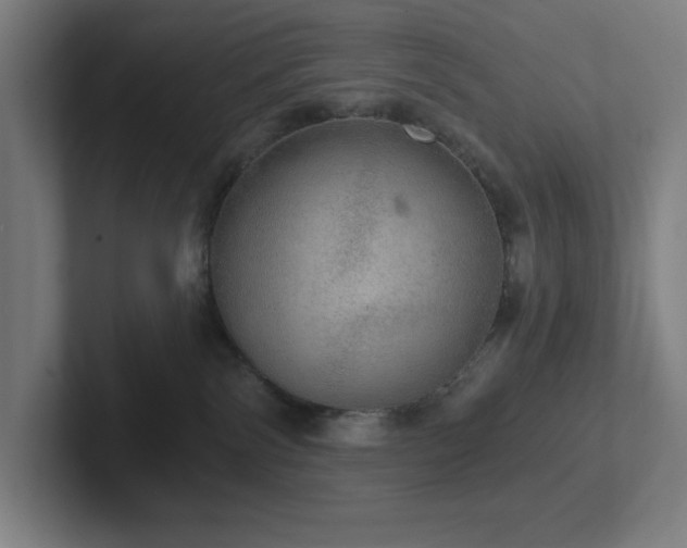 X0000102770138200808181137