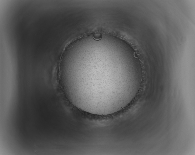 X0000102770144200808181137