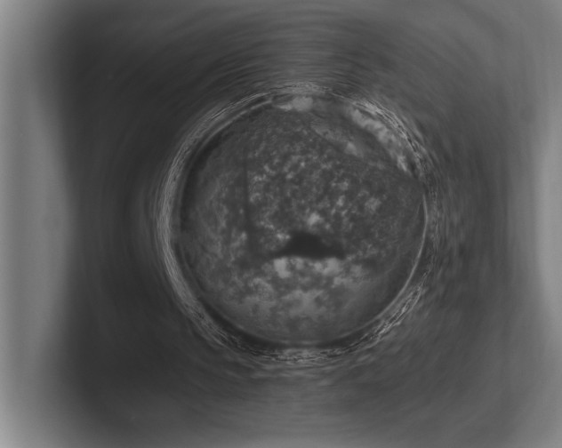 X0000102770145200808181136