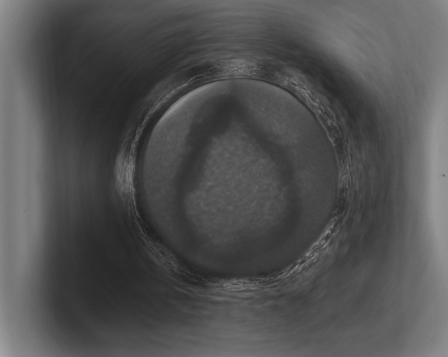 X0000102770146200808181136