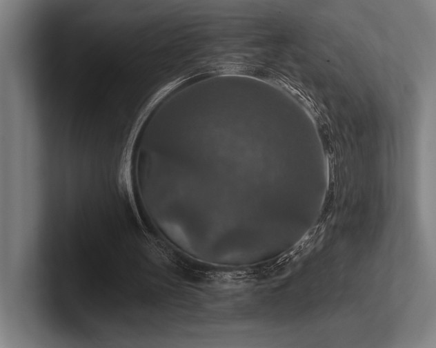 X0000102770147200808181136