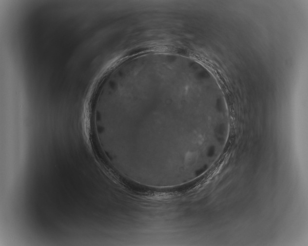 X0000102770149200808181136