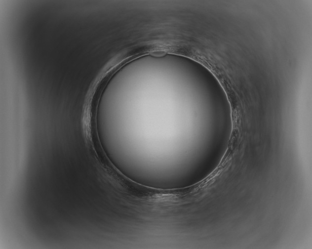 X0000102770150200808181136