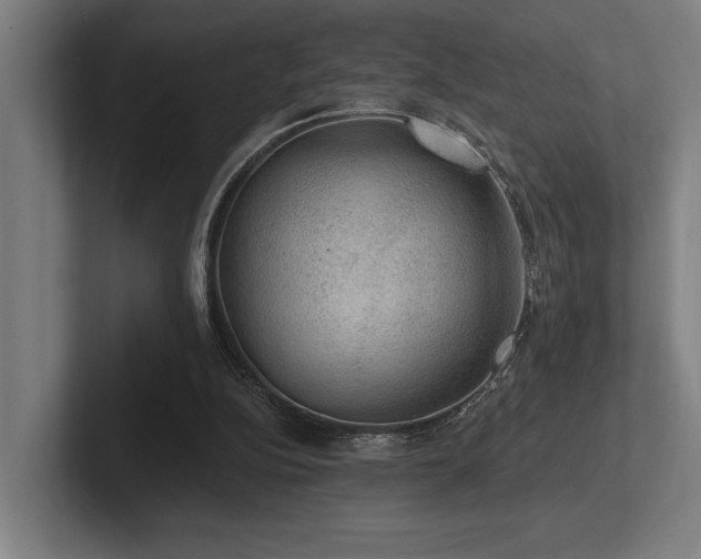 X0000102770152200808181136