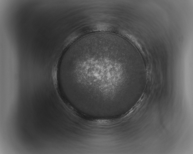 X0000102770154200808181136