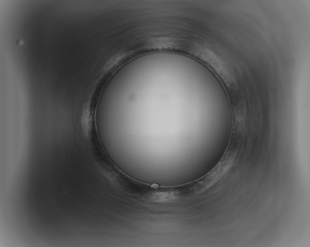 X0000102770160200808181136