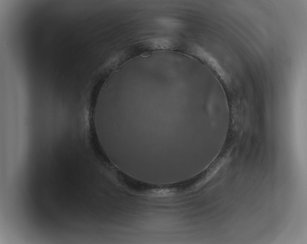 X0000102770161200808181136