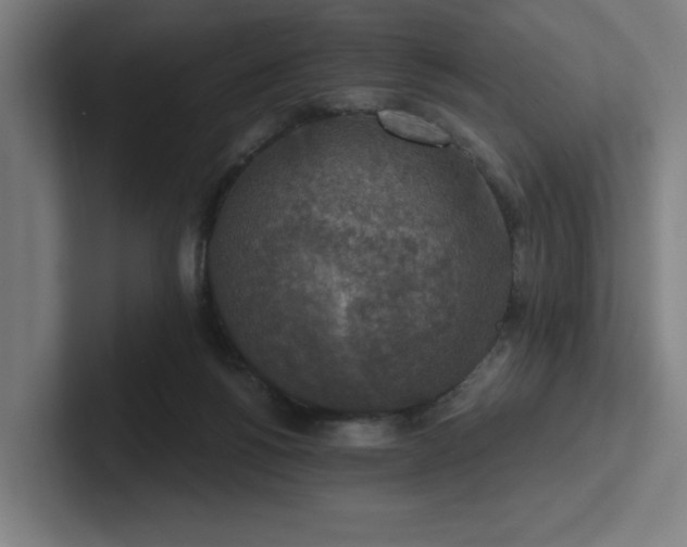 X0000102770168200808181136