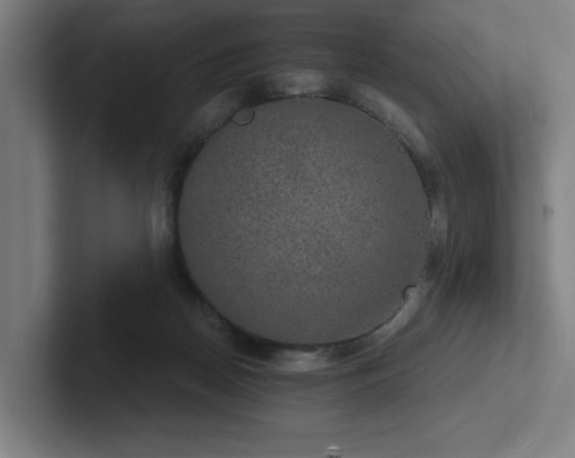 X0000102770170200808181136